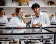 Alunos do curso de Licenciatura em Ciências Biológicas da Unoeste observam e discutem amostras de rochas em laboratório. Vestindo jalecos brancos, eles estão reunidos ao redor de vitrines de vidro, com exemplares de animais taxidermizados e placas informativas ao fundo, destacando o aprendizado prático.