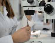 Close de estudante da Licenciatura em Ciências Biológicas da Unoeste utilizando microscópio em laboratório. Ela segura uma pinça e examina um inseto posicionado sobre placa branca, evidenciando a prática científica detalhada e o ambiente moderno do laboratório.