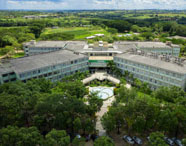 Grupo de estudantes da Faculdade de História caminhando em área verde do campus, interagindo e aproveitando o ambiente universitário.