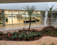 Jardim interno da Unoeste Jaú com palmeiras e canteiros de flores vermelhas, rodeado por pedras decorativas. Ao fundo, uma ampla parede de vidro revela a biblioteca moderna, com mesas, estantes e iluminação intensa, integrando natureza e espaço acadêmico.