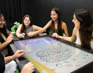 Grupo de alunas do curso de Psicologia da Unoeste Jaú reunidas em torno de mesa digital interativa, analisando imagem de cérebro e ícones relacionados a neurociências. Ambiente moderno, com cadeiras verdes e parede escura, destacando o uso de tecnologia para aprofundar o conhecimento científico na graduação.