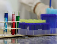 Tubos de ensaio coloridos organizados em bancada de laboratório do curso de Biomedicina na Unoeste Jaú. 