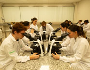 Grupo de alunos de Biomedicina em jalecos brancos realizando aula prática em laboratório, cada um focado em seu microscópio óptico para análise de amostras.