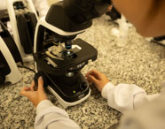 Close-up das mãos de um aluno de Biomedicina em jaleco branco ajustando um microscópio óptico Nikon, com uma lâmina de amostra visível na platina.