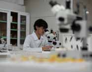 Aluno do curso de Ciências Biológicas, formação pedagógica, da Unoeste, utiliza jaleco branco e trabalha em laboratório. Ele manuseia um microscópio moderno, com uma caixa expositora de insetos ao lado. O ambiente é equipado com armários de vidro e frascos científicos, proporcionando cenário ideal para estudo prático.