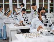 Alunos de Ciências Biológicas, formação pedagógica, da Unoeste realizam aula prática em laboratório. O grupo utiliza jalecos brancos e analisa insetos taxidermizados com auxílio de microscópios e caixas expositores. O ambiente é amplo, claro e equipado com armários de vidro e materiais científicos.