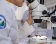Estudante do curso de Ciências Biológicas, formação pedagógica, da Unoeste observa amostra de inseto utilizando microscópio em laboratório. Ela veste jaleco branco com o brasão da instituição no braço, enquanto o ambiente ao fundo sugere outros colegas e equipamentos científicos.