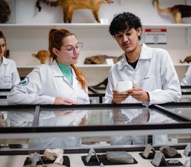 Estudantes do curso de Ciências Biológicas, formação pedagógica, da Unoeste em Presidente Prudente observam e analisam amostras de rochas e minerais expostas em vitrines de vidro no laboratório. O ambiente possui prateleiras com exemplares de animais taxidermizados ao fundo, promovendo aprendizado prático e científico.