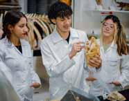 Grupo de estudantes do curso de Ciências Biológicas da Unoeste, todos usando jalecos brancos, reunidos em laboratório. Um aluno segura e aponta para um crânio animal, enquanto os demais observam atentamente. Ao fundo, há esqueletos expostos e prateleiras com peças anatômicas, evidenciando o ambiente acadêmico e prático.