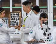 Estudantes e professor do curso de Ciências Biológicas da Unoeste em laboratório. Uma aluna segura uma caixa expositora com diversos insetos taxidermizados, mostrando ao docente, que usa crachá verde. Outro estudante observa ao microscópio na bancada. Armários com portas de vidro e frascos científicos compõem o cenário.