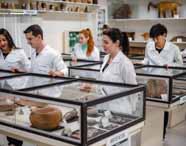 Alunos de Ciências Biológicas da Unoeste em Presidente Prudente observam vitrines de vidro com fósseis e artefatos arqueológicos em exposição. Todos vestem jaleco branco e estão atentos aos objetos expostos, demonstrando interesse pelo acervo científico. O ambiente é claro, organizado e voltado ao ensino prático.