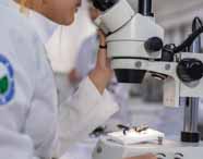 Close de estudante do curso de Ciências Biológicas da Unoeste utilizando um microscópio em laboratório. A aluna veste jaleco branco com o brasão da instituição no braço. Sobre a mesa, há um inseto posicionado para análise. O fundo desfocado sugere outros colegas e equipamentos no ambiente.