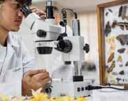 Estudante do curso de Ciências Biológicas da Unoeste, usando jaleco branco, realiza atividade prática em laboratório. Ele manuseia um microscópio moderno, enquanto ao lado há uma caixa expositora com diversos insetos e borboletas taxidermizados, evidenciando o estudo detalhado da biodiversidade.