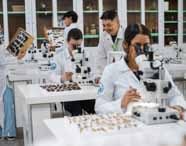 Alunos do curso de Ciências Biológicas da Unoeste participam de aula prática em laboratório. Eles usam jalecos brancos e analisam amostras de insetos em microscópios. O ambiente é amplo, claro e equipado, com caixas expositores de insetos sobre as mesas e armários de vidro ao fundo, promovendo aprendizado científico.