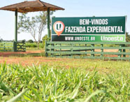 Placa de boas-vindas à Fazenda Experimental da Faculdade de Celulose e Papel em Presidente Prudente, com área verde e estrutura de madeira.