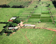 Vista aérea da fazenda experimental da Faculdade de Celulose e Papel, mostrando áreas de cultivo e infraestrutura em meio à paisagem rural.