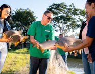 Alunos e professores da Faculdade de Aquicultura em atividade de piscicultura, manuseando peixes pacu e carpa em ambiente de lago.