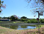 Vista de tanques de piscicultura da Faculdade de Aquicultura em Presidente Prudente, com lagos e vegetação ao redor, representando a estrutura de criação.