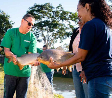 Alunos e professores da Faculdade de Aquicultura em Presidente Prudente manuseando peixes em aula prática de piscicultura, representando o perfil profissional do curso.
