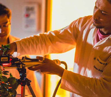 Aluna da Faculdade de Ciências Biológicas em Guarujá utilizando microscópio para analisar insetos, destacando o perfil profissional do curso em pesquisa biológica.