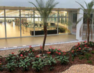 Área de jardim interna da Faculdade de Estética e Cosmética em Jaú, com palmeiras e plantas, e vista para a biblioteca moderna.