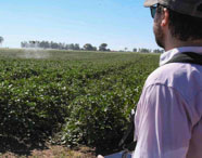 Aluno da Faculdade de Biotecnologia observando drone agrícola pulverizando lavoura em aula de campo, demonstrando tecnologia e sustentabilidade.
