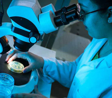 Pesquisador ou aluno da Faculdade de Biotecnologia em Presidente Prudente realizando análise laboratorial com microscópio, ilustrando o perfil profissional do curso.