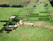 Vista aérea da fazenda experimental da Faculdade de Silvicultura, mostrando áreas de cultivo, estufas e infraestrutura em meio à paisagem rural.
