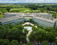 Grupo de estudantes da Faculdade de Silvicultura caminhando em área verde do campus, interagindo e aproveitando o ambiente universitário.