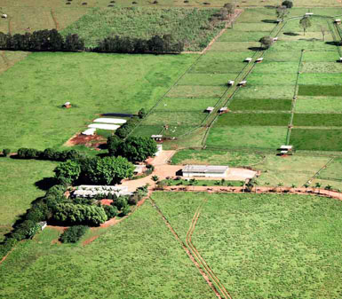 Vista aérea da fazenda experimental da Faculdade de Silvicultura em Presidente Prudente, mostrando áreas de cultivo e pesquisa, representando o perfil profissional do curso.