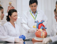 Aula prática de anatomia para estudantes de Nutrição, com professor demonstrando detalhes em um modelo anatômico grande de coração humano colorido. Alunos em volta observam atentos, todos de jaleco branco, em sala decorada com pôsteres do sistema muscular ao fundo.