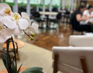 Orquídea branca em primeiro plano, com alunos da Faculdade de Terapia Ocupacional em Presidente Prudente estudando ao fundo, simbolizando ambiente de aprendizado.