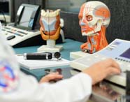 Sobre bancada de laboratório, modelo anatômico detalhado da cabeça humana destaca músculos, nervos e vasos sanguíneos. Ao lado, aparelhos de audiometria e otoscópio, compondo o cenário moderno e bem equipado do curso de Fonoaudiologia.