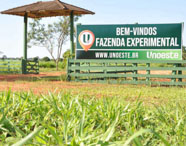 Placa de boas-vindas à Fazenda Experimental da Faculdade de Produção Sucroalcooleira em Presidente Prudente, com área verde e estrutura de madeira.