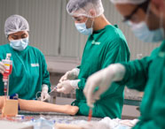 Três estudantes de Medicina da Unoeste Guarujá, vestidos com aventais verdes, toucas e luvas, realizam procedimento simulado em centro cirúrgico. Eles manipulam instrumentos cirúrgicos sob luz intensa, praticando técnicas essenciais para formação médica.