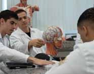 Alunos de Medicina em jalecos brancos examinando um modelo anatômico da cabeça e pescoço, que mostra o sistema vascular e nervoso, em uma aula de laboratório.