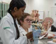 Duas alunas de Medicina em jalecos brancos estudando um modelo anatômico do sistema respiratório superior, incluindo laringe e traqueia, em um laboratório.