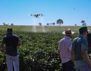 Curso de agronegócio Presidente Prudente drone lavoura: estudantes acompanham demonstração de drone realizando pulverização sobre plantação verde, em manhã ensolarada. A imagem ressalta o uso de tecnologia de precisão, o envolvimento dos alunos em experimentos inovadores e a preparação para os desafios do agronegócio moderno.