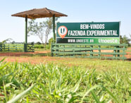 Curso de agronegócio Presidente Prudente fazenda experimental: entrada da fazenda experimental da Unoeste com placa de boas-vindas em destaque, cercada por área verde, cercas de madeira e cobertura de telhado. O local valoriza a vivência prática, pesquisa e inovação no ensino do agronegócio, oferecendo estrutura moderna para o desenvolvimento acadêmico e profissional dos alunos.