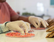 Faculdade de agronegócio Presidente Prudente sementes: mãos com luvas manuseiam sementes coloridas em placas de Petri sobre uma mesa de laboratório, com embalagens ao fundo. A cena destaca práticas de análise, seleção e pesquisa em sementes, fundamentais para o aprendizado prático e o desenvolvimento científico dos alunos do curso de agronegócio.
