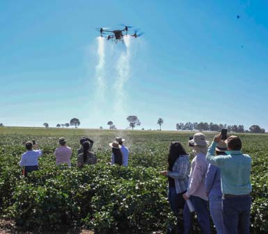 Perfil profissional agronegócio Prudente: grupo de estudantes e profissionais observa demonstração de drone agrícola sobre lavoura, em campo aberto e sob céu azul. A imagem valoriza a integração de tecnologia, inovação e práticas sustentáveis no ensino de agronegócio, destacando o aprendizado prático e o protagonismo dos alunos no desenvolvimento do setor.