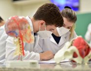 Estudantes de Medicina da Unoeste Jaú, vestindo jalecos brancos, participam de aula prática em sala de anatomia. Eles analisam cadernos e moldes anatômicos, como crânio transparente com vasos sanguíneos e pelve humana, dispostos sobre a mesa. Ambiente de aprendizado colaborativo.