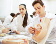 Aluno de Medicina em jaleco branco examinando e apontando detalhes em modelo anatômico do sistema reprodutor feminino em aula prática, com outra aluna observando.