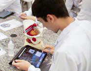 Aluno de Medicina em jaleco branco utilizando tablet com caneta stylus para estudo, com um modelo anatômico de pelve e órgãos internos sobre a mesa.