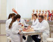 Grupo de alunos de Medicina em jalecos brancos em aula prática de anatomia, estudando modelos de órgãos sobre a mesa, com esqueletos e modelos do corpo humano ao fundo.