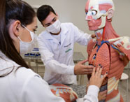 Estudantes de Medicina da Unoeste Jaú, em jalecos brancos, analisam detalhadamente um modelo anatômico de corpo humano. Um aluno aponta para os pulmões do molde, enquanto a colega toca a peça. O laboratório possui bancadas de granito e equipamentos didáticos.