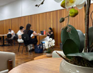 Ambiente cultural com orquídeas brancas em destaque no primeiro plano. Ao fundo, mesas redondas e cadeiras pretas ocupadas por estudantes conversando e estudando. O espaço possui piso de madeira, janelas amplas e atmosfera aconchegante, ideal para integração universitária.