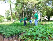 Estudantes do curso de Engenharia Ambiental e Sanitária realizam atividade prática em viveiro, cuidando de mudas de árvores nativas. Vestem camisetas verdes e calças jeans, rodeados por vegetação densa, árvores altas e fileiras de mudas em sacos plásticos sob sombra natural.