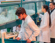 Alunos da Unoeste realizando prática em laboratório de materiais hidráulicos no curso de Engenharia Ambiental e Sanitária. 