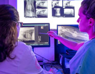 Estudantes de Medicina Veterinária analisam exames de imagem em ambiente escuro com luz azulada. Duas alunas observam radiografias de animais exibidas em monitores e painel iluminado na parede, enquanto uma delas aponta detalhes com caneta.